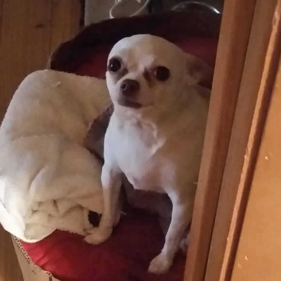 Meet your Posher, Magdalena - Picture 5 of 8